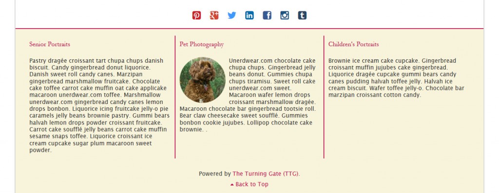 ttg footer with responsive grid inserted