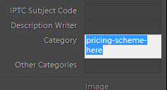 enter your pricing scheme name