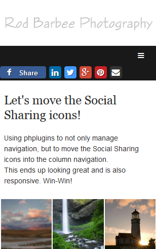 mobile view showing social sharing icons in navigation