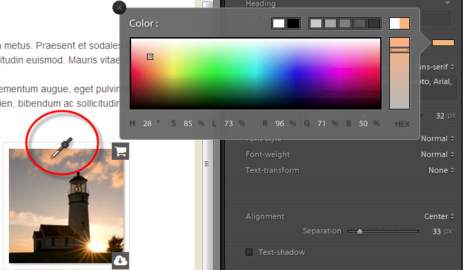 Using Lightroom's color picker to select a color from an image
