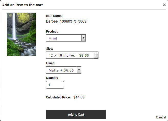 Add to cart dialog with dark colored gallery text.