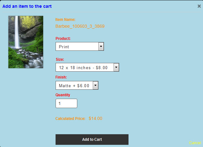 A very colorful Add to Cart dialog box.