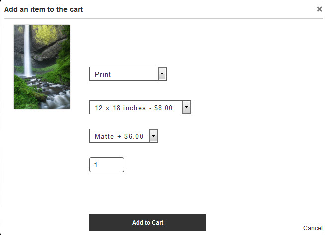 Add to cart dialog. White text used in gallery. Hey... something's missing here!